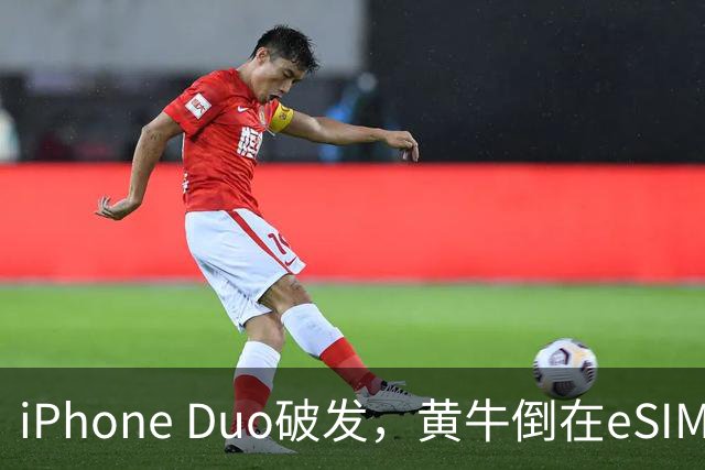 iPhone Duo破发，黄牛倒在eSIM